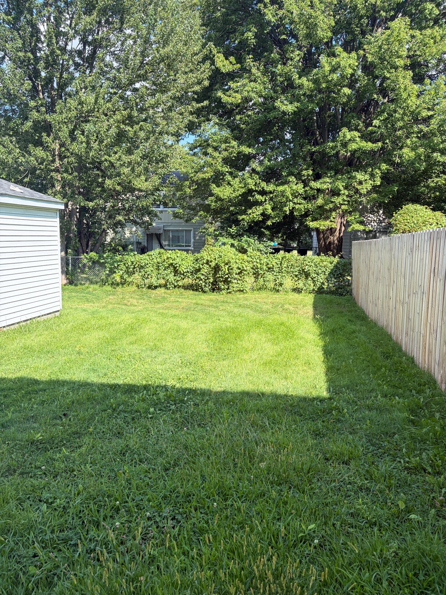Building Photo - 33569 Berville Ct