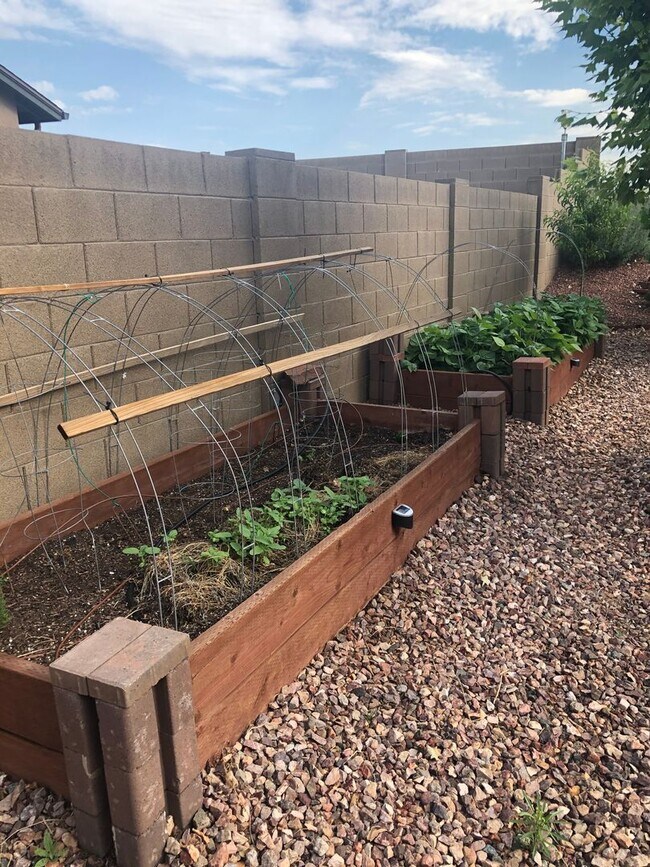 Building Photo - Beautiful 3 Bedroom in Bright Star, Chino Valley