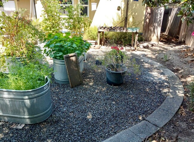 Building Photo - Lovely one level home in Northwest Santa R...