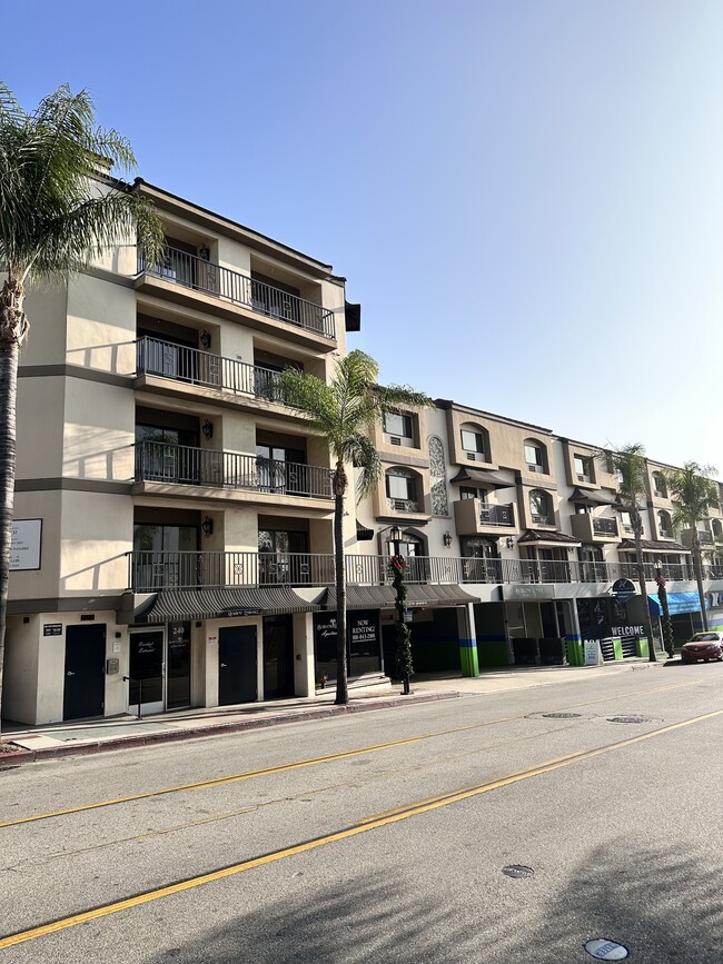 Palm Ave. - Burbank Center Apartments