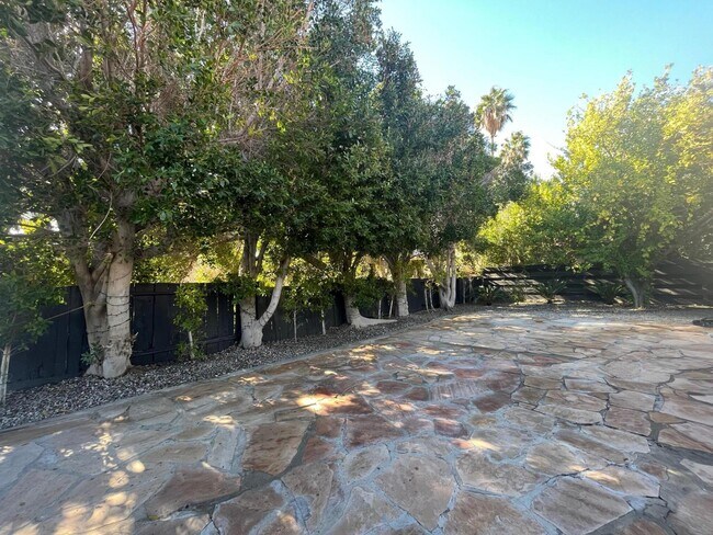 Building Photo - 1233 E Via Escuela