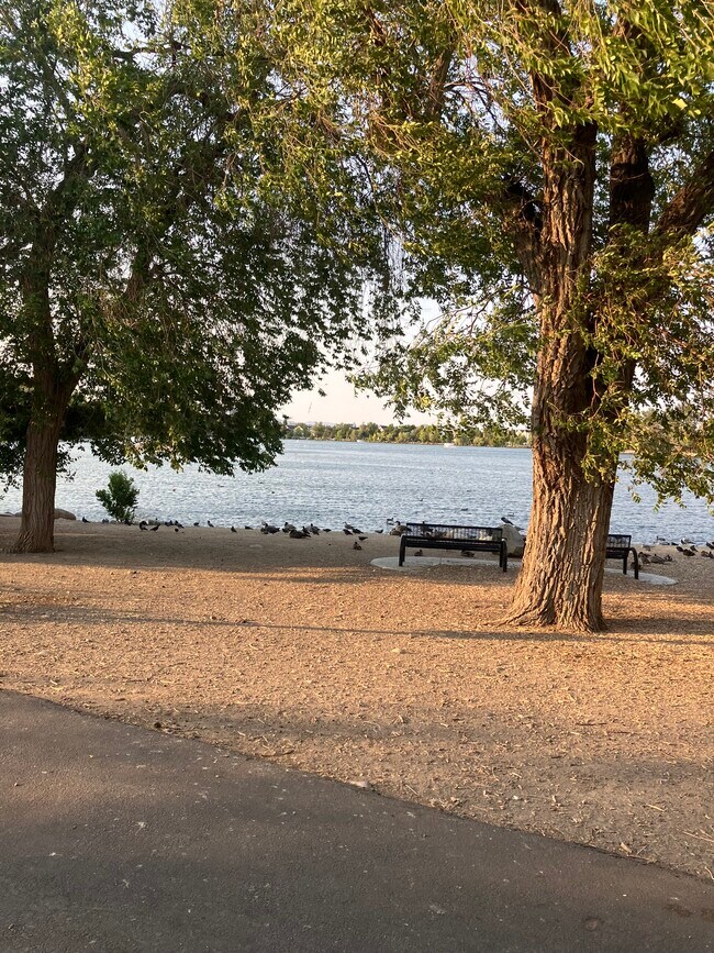 From Walking/Biking path - 2955 Lakeside Dr