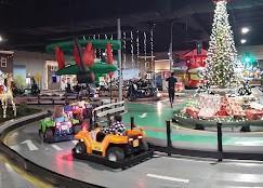 Building Photo - 4115 Magnolia Glen Walk