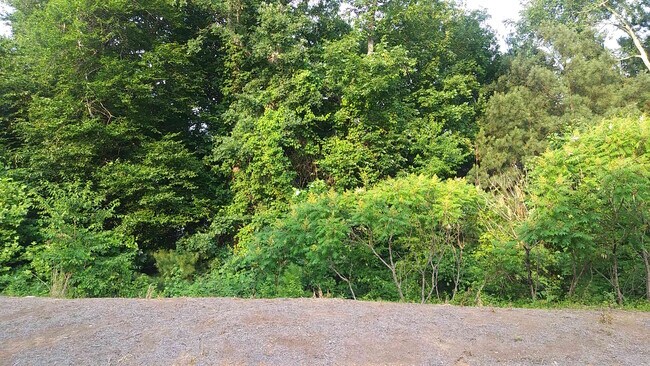 Building Photo - 2097 Meadow Peak Rd
