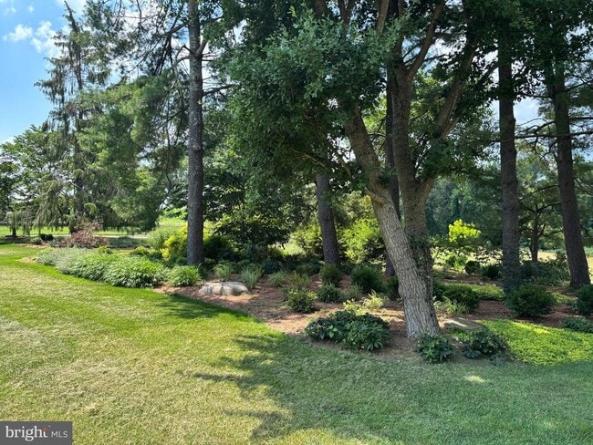 Building Photo - 40497 Little River Tpke