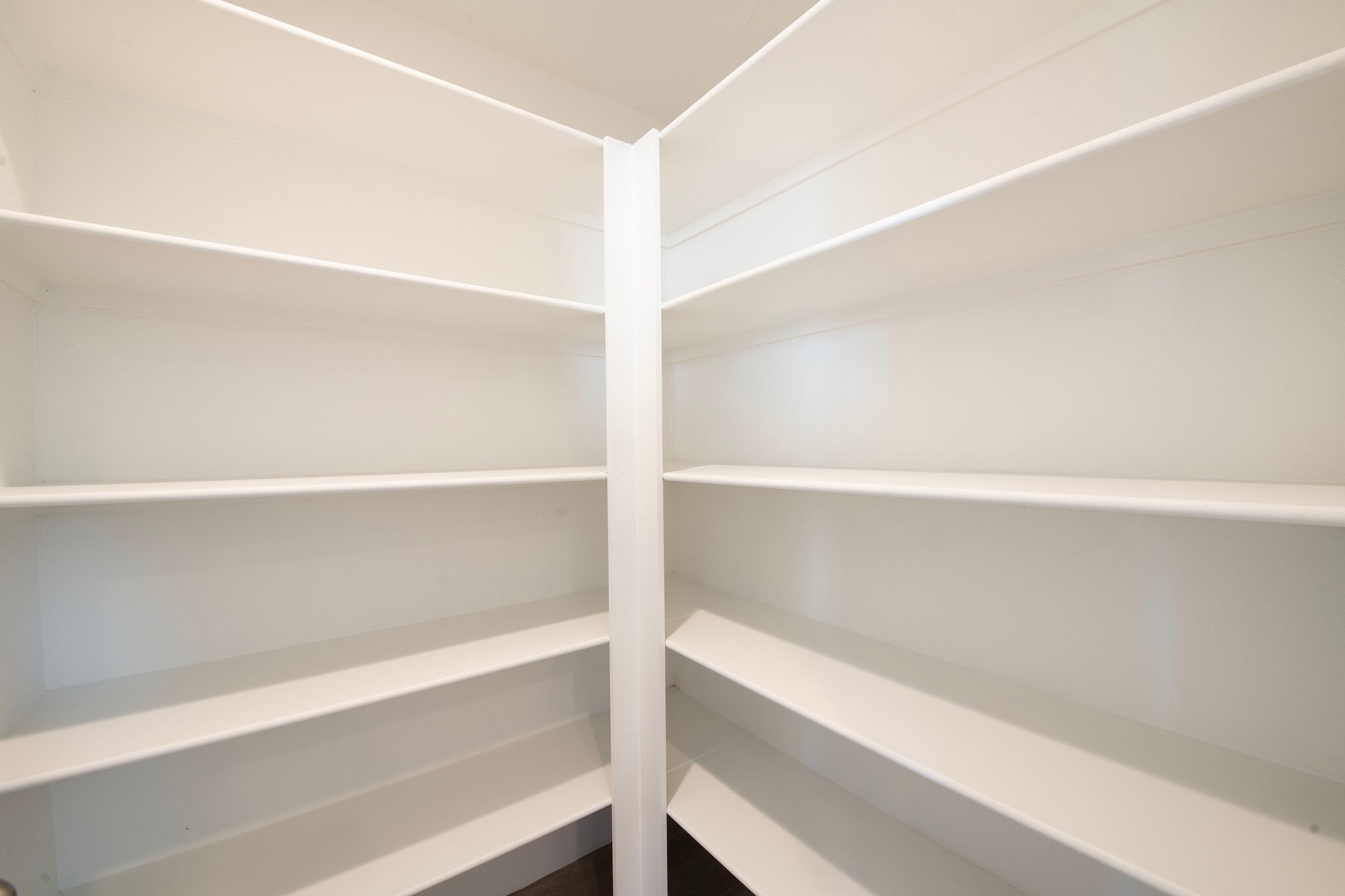Building Photo - 1506 Tyram Grv