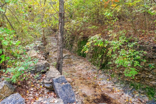 Building Photo - Modern 3-Bedroom Home Near Branson Landing...