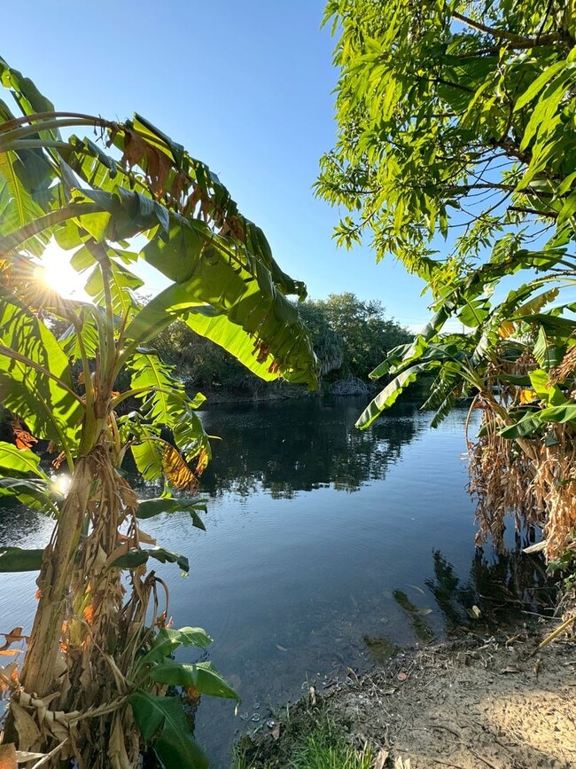 Building Photo - 5-Min Walk to FAU – Private Room in Furnished 2/2 Condo w/ Pool & Canal Views – $1,700