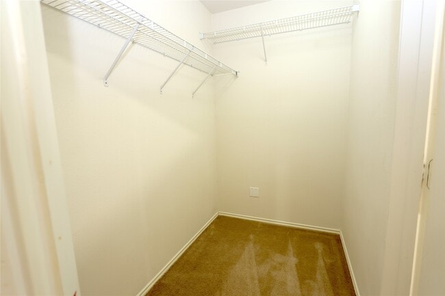 Building Photo - 4823 Canyon Blanco Dr