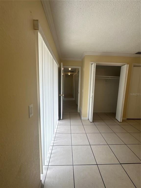 Building Photo - 2329 Pine Tree Ct