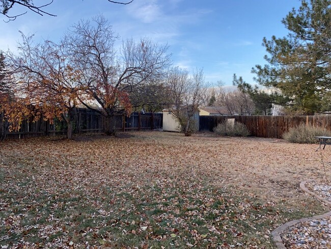 Building Photo - Spacious Tri-Level Home in West Fort Collins