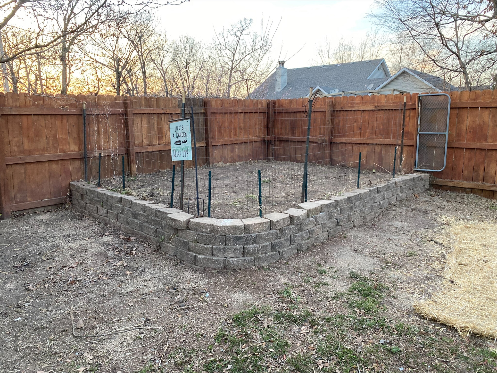 garden - 1825 Mountain Ash Dr