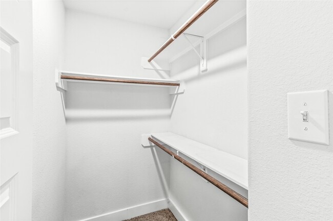 Building Photo - 4426 Ibiza Ln