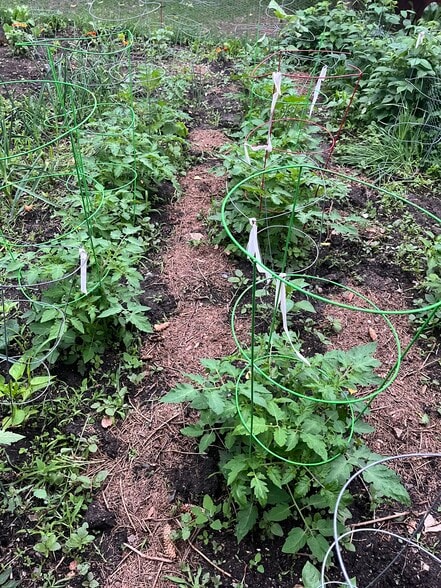 Building Photo - 817 Jack Russell Ave