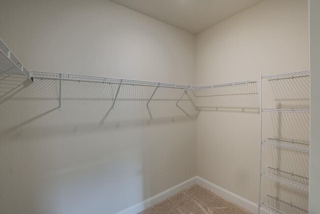 Building Photo - 4257 Spruce Pine Alley