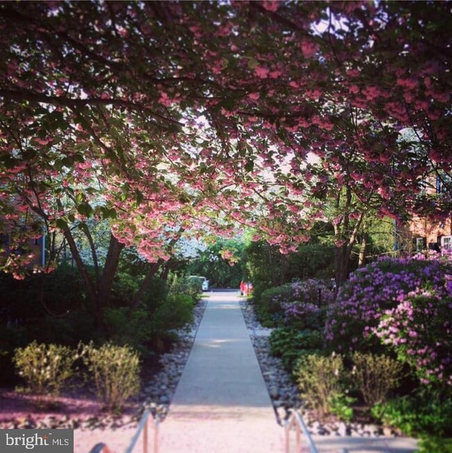 Building Photo - 207 Walnut Hill Rd