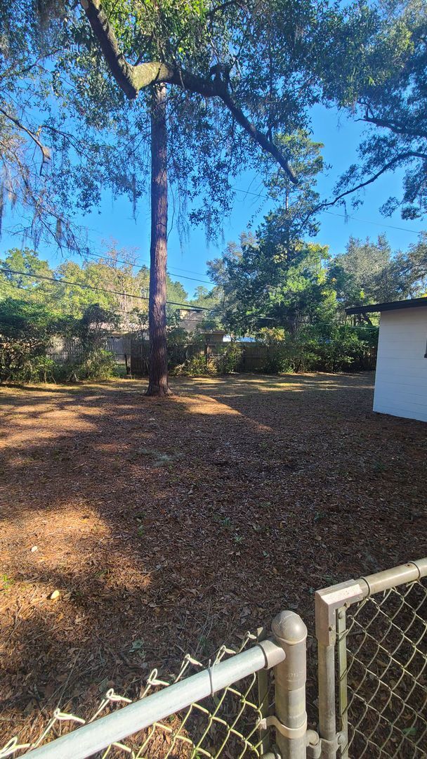 Building Photo - Fully Renovated 3/1 with huge fenced-in ba...