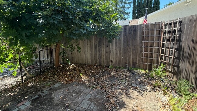 Building Photo - Concord Beautiful 1 bedroom 1 bathroom ADU updated kitchen, 2 car parking, fresh paint