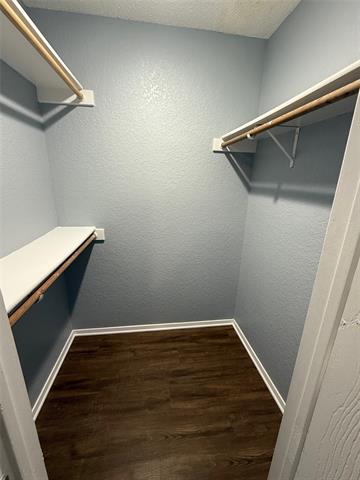 Building Photo - 1713 San Rafael St