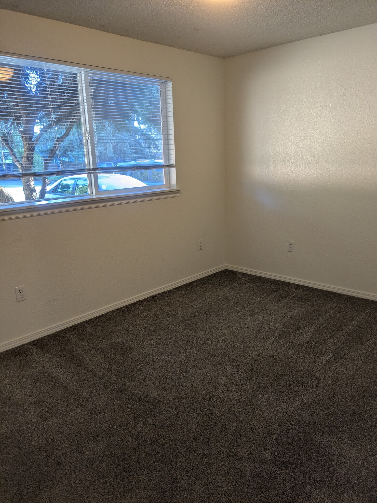 Front bedroom - 9127 Meridian Pl NE