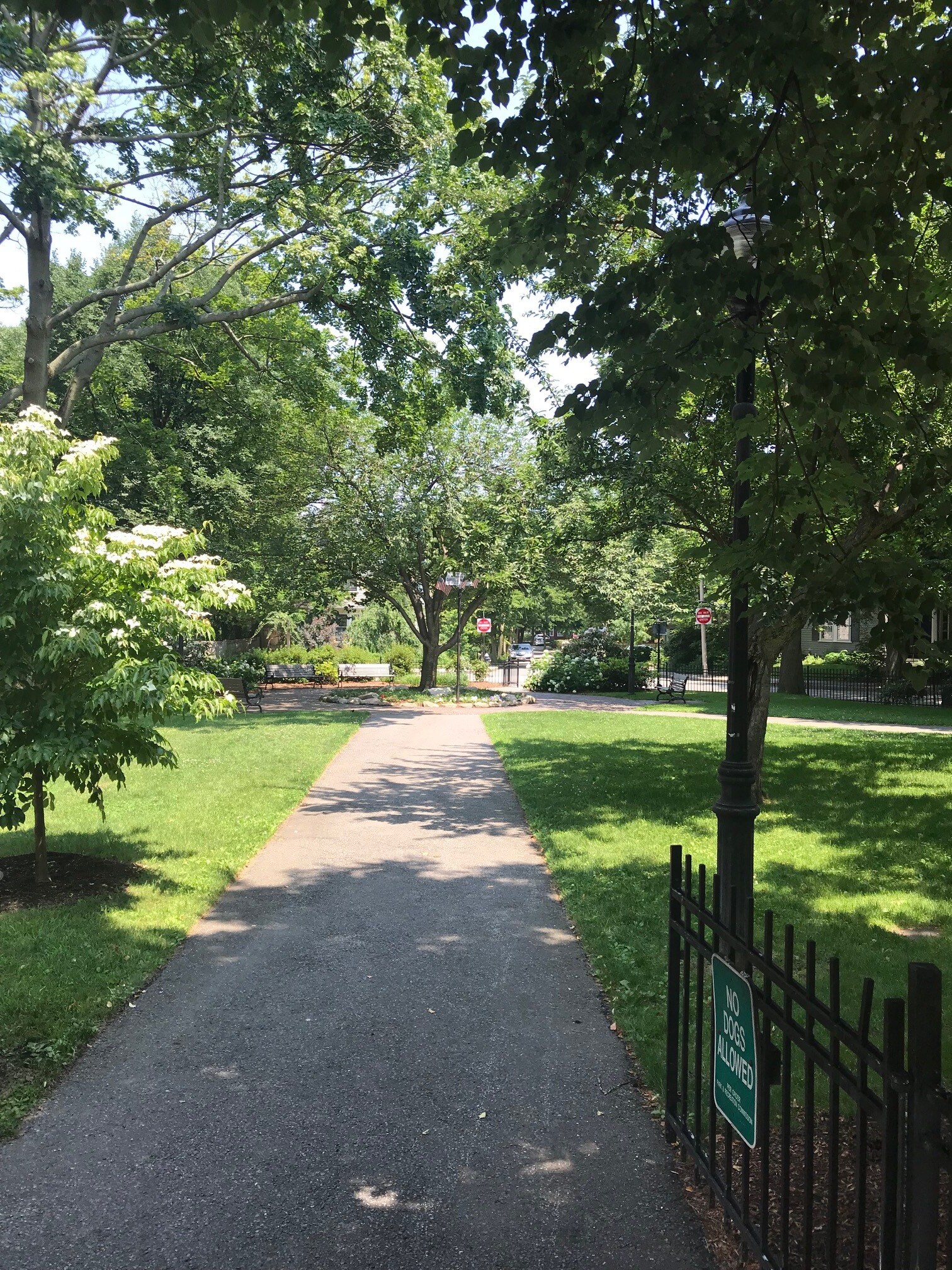 Neighborhood Park - 26 Linden Pl
