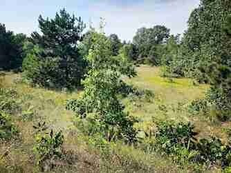 Building Photo - 1729 N Keystone Rd