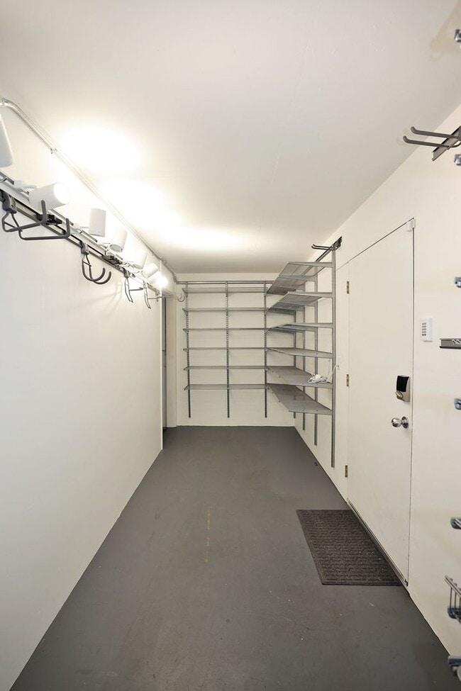 Building Photo - Stunning Mid-Century Modern 3 Bed/ 2 Bath ...