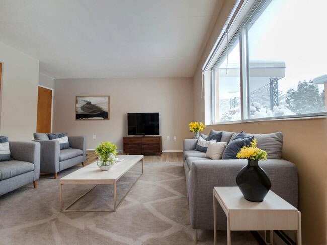 One Bed One Bath - The Midtown Apartments