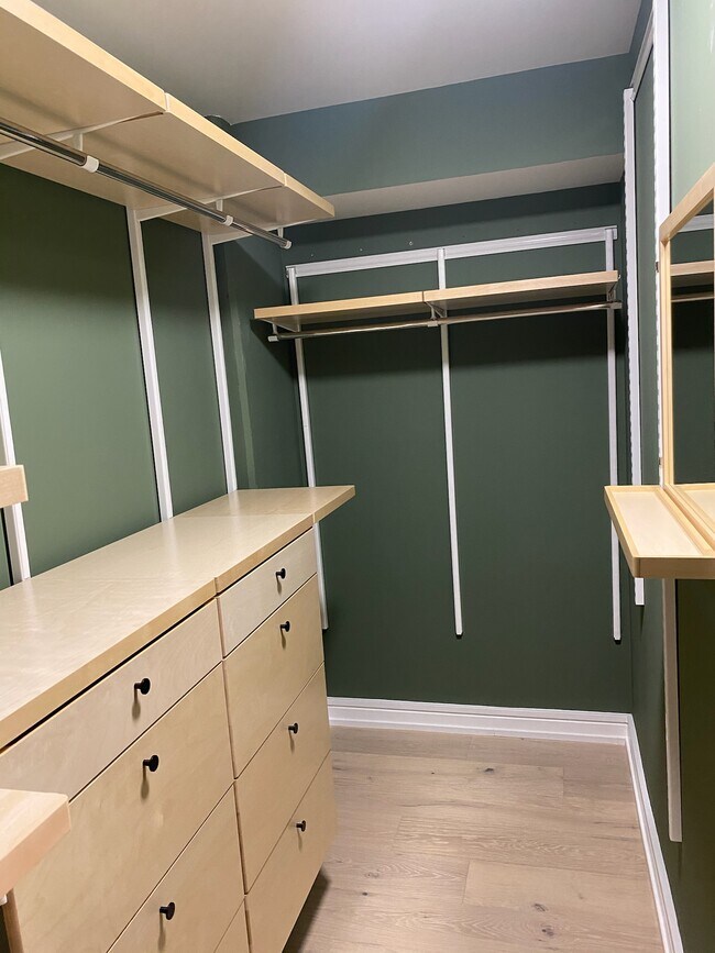 Master walk-in closet - 631 Folsom St