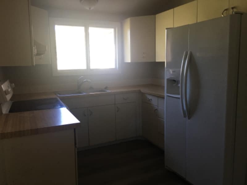 Building Photo - 703 Carriage Ct