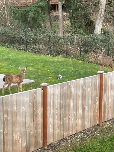 Primary Photo - 1922 87th Avenue Ct W