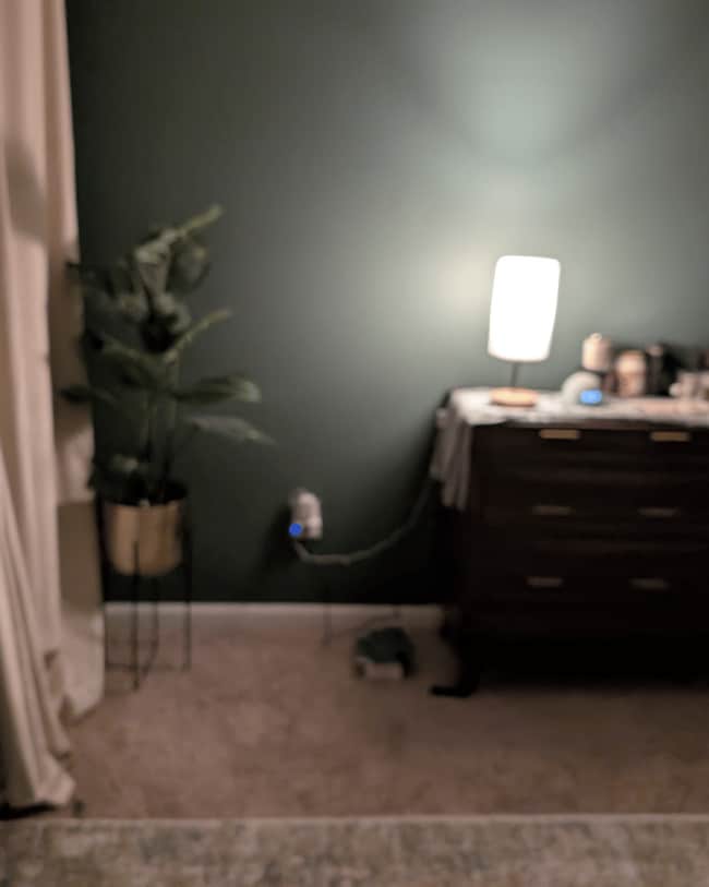 Building Photo - 101 Flatwood Trail