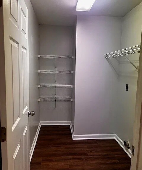 Building Photo - 311 Melrose Ln