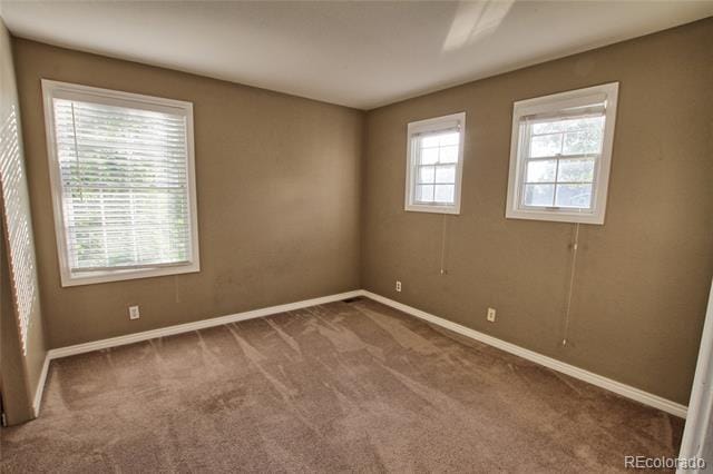 Building Photo - 4316 Timber Hollow Loop