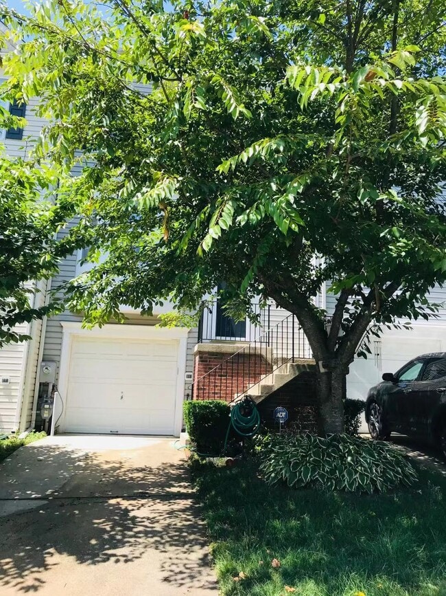 Building Photo - 3227 Halcyon Ct