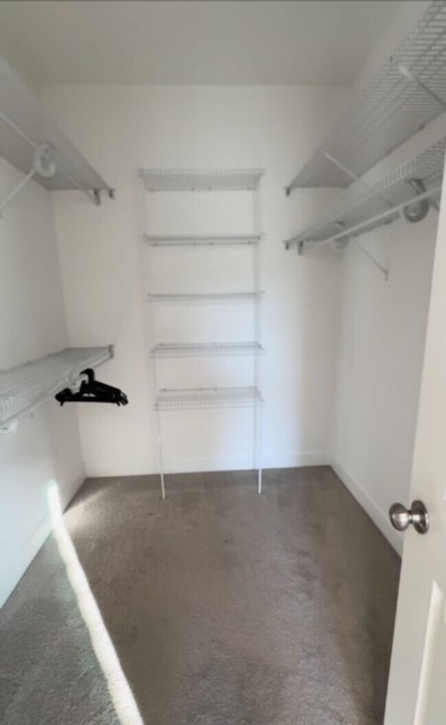 Building Photo - Beautiful 3 Bed 2 Bath Available this Fall!