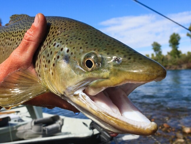 Building Photo - Modern 3-Bedroom Townhome in the Heart of ...