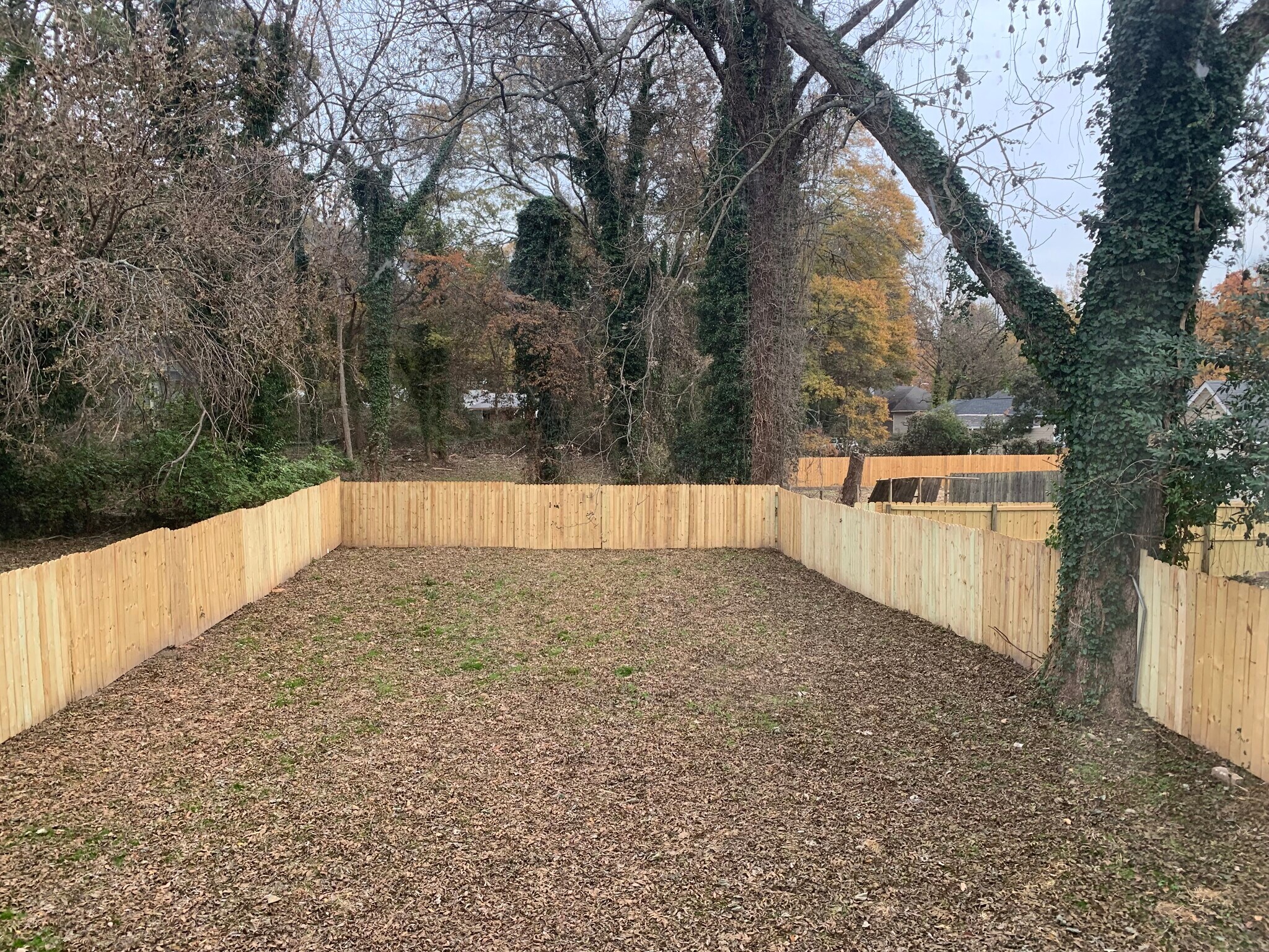 Building Photo - 184 Laurel Ave SW