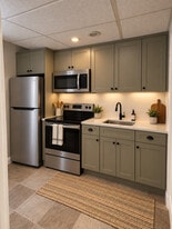 Kitchen - 225 Alexander St