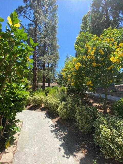 Building Photo - 520 Calle Aragon