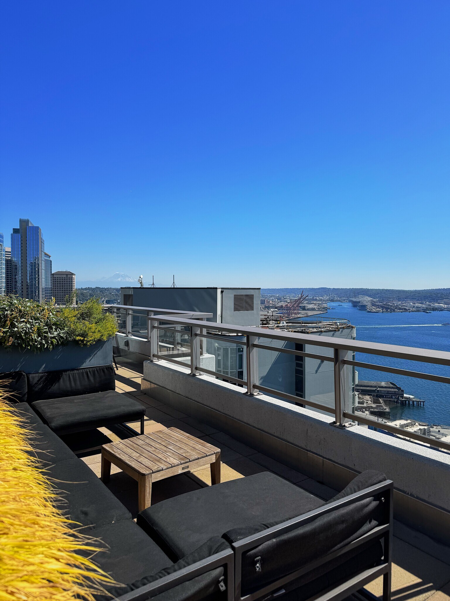 Roof Top Views - 2033 2nd Ave