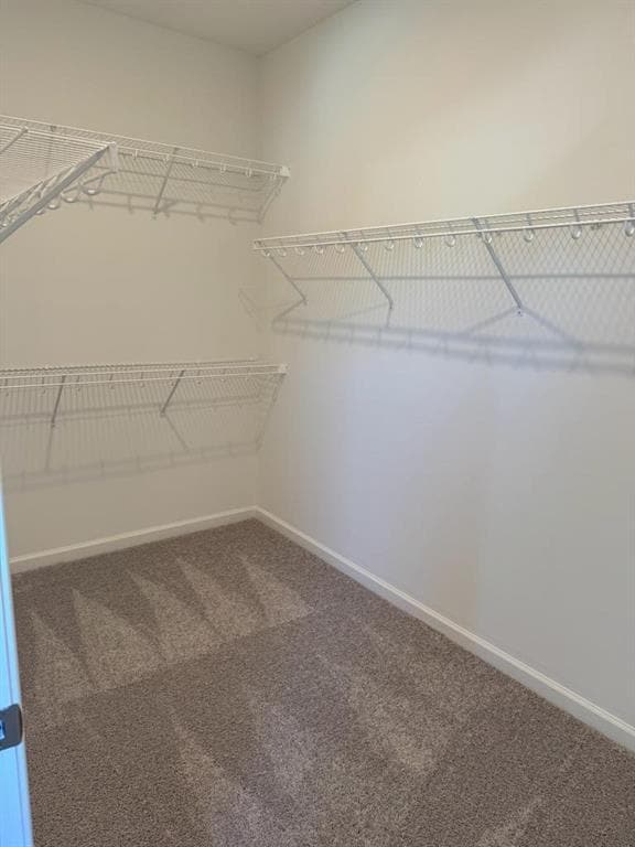 Building Photo - 805 Green Sapling Trl