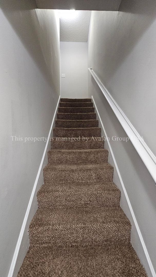 Building Photo - 4262 Polo Ct