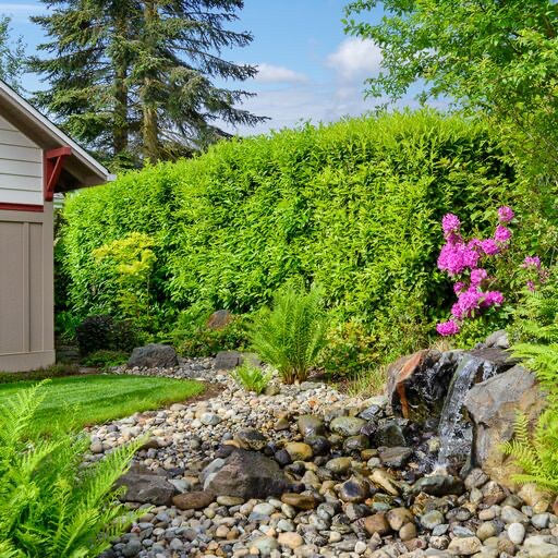 Building Photo - 11810 20th St NE