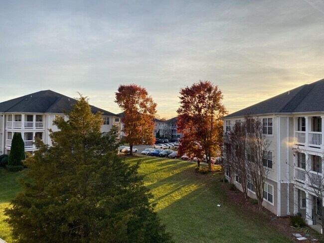 Building Photo - Condo In Manassas 2BR/2BA