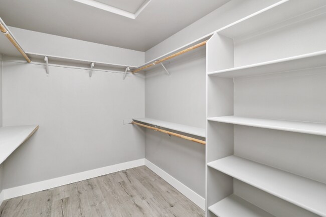 Building Photo - 3451 Woodbury Dr