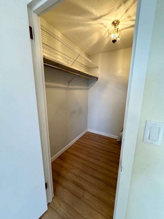 Building Photo - 1004 Paradise Rd