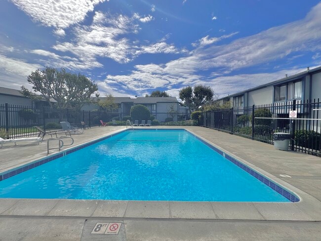 2. Pool - 1925 46th Ave