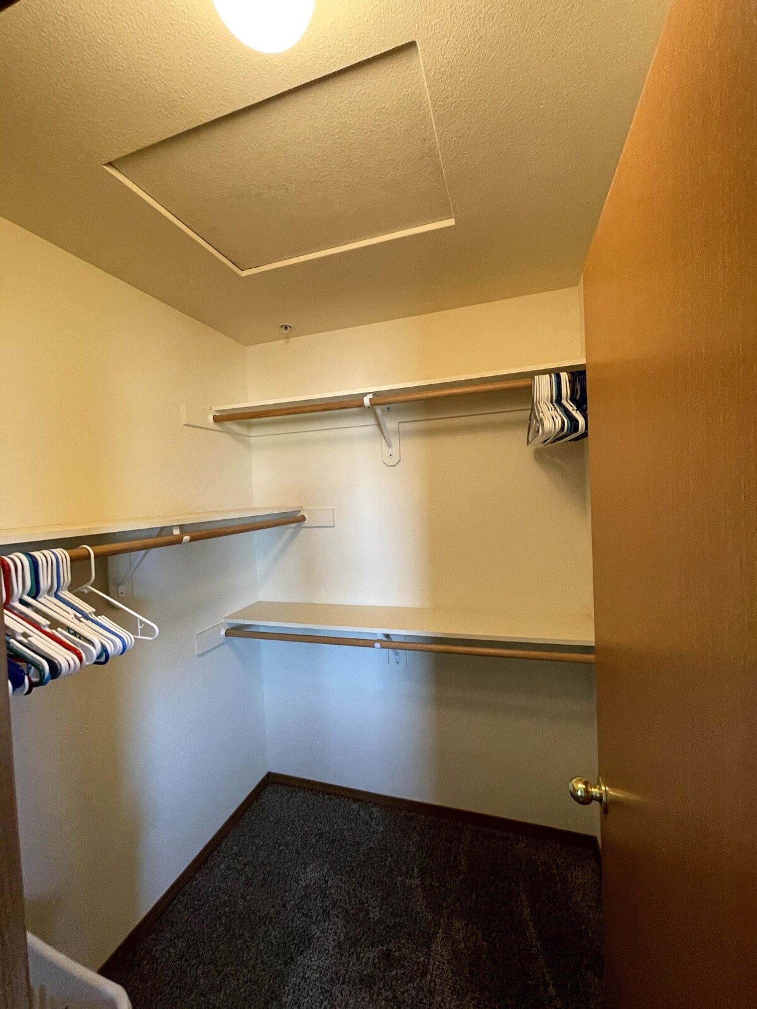 Building Photo - 6005G Chapel Hill Blvd