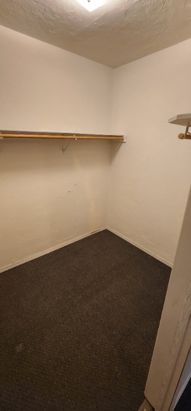 Building Photo - 831 Main St